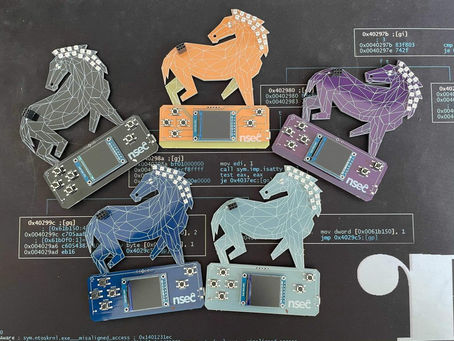 5 raisons de participer à NSEC en 2021